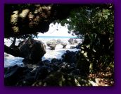 lavena coastal walk and waterfall (20).jpg